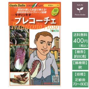 野菜の種 リーフレタスをマグカップで育てる栽培セット Taneset 005 Style1187 通販 Yahoo ショッピング