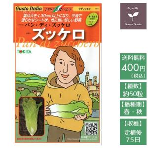 令和7年富山県産「あきたこまち」 種籾 1dl（約65g） : 種もみ専門店