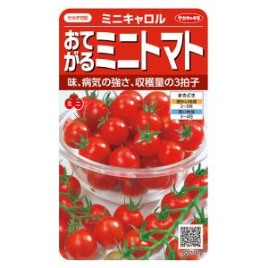 ミニトマトのタネ サカタのタネ（サカタノタネ） ミニトマト レジナミックス 約75粒 （株