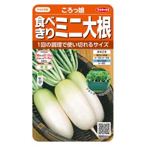 野菜の種　実咲野菜5017 食べきりミニ大根 ころっ娘