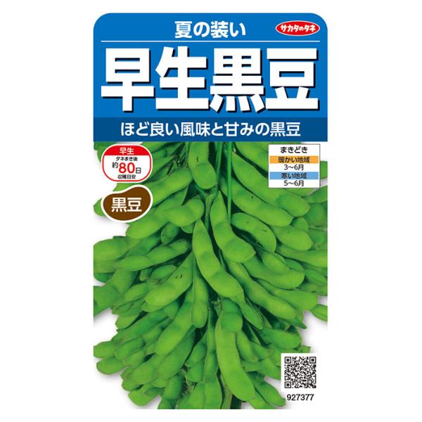 野菜の種　実咲野菜7377 早生枝豆（黒豆） 夏の装い