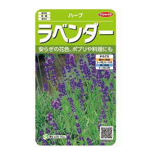 野菜の種 実咲ハーブ8086 ハーブ ラベンダーの商品画像