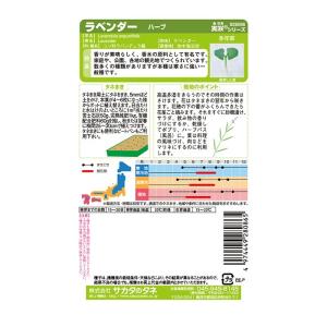 野菜の種 実咲ハーブ8086 ハーブ ラベンダーの詳細画像1