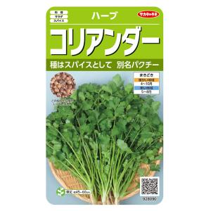 野菜の種　実咲ハーブ8090 ハーブ コリアンダー（パクチー）
