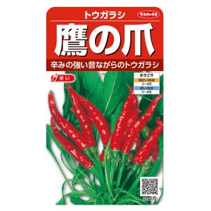 SK9-099 ブロッコリー種子 ペレット5000粒 【野菜種子】【サカタのタネ