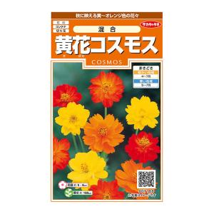 花の種　実咲花7188 黄花コスモス混合