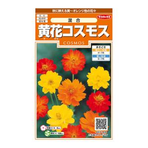 花の種　実咲花7188 黄花コスモス混合｜style1187