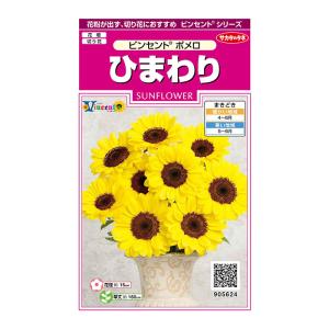 花の種 実咲花5901 花絵の具ミックスフラワーガーデン : STYLE1187