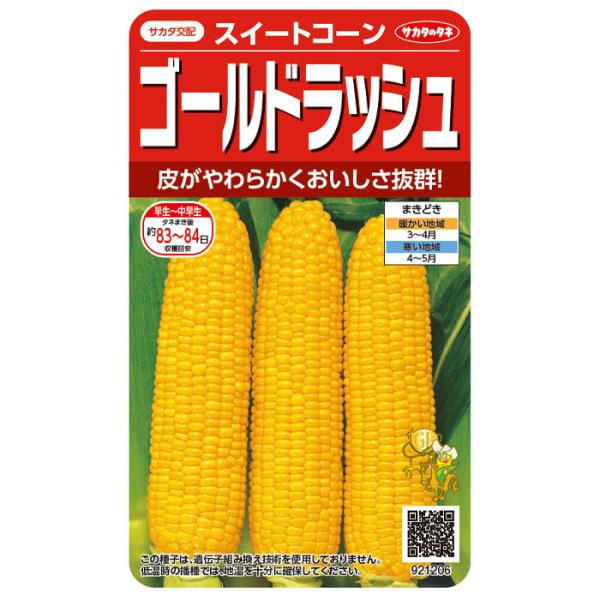 野菜の種　実咲野菜1206 みわくのコーンゴールドラッシュ