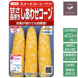 野菜の種 実咲野菜1210 甘さ長持ちしあわせコーン
