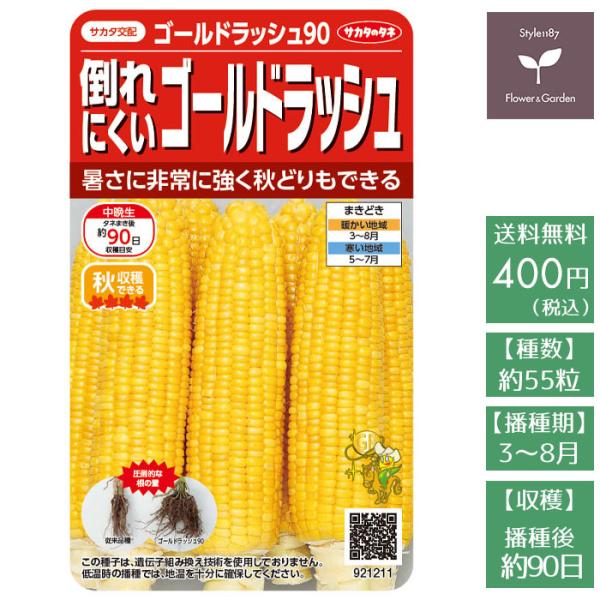 野菜の種　実咲野菜1211 倒れにくいゴールドラッシュ９０