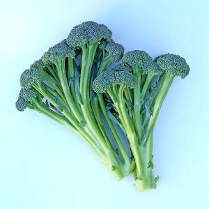野菜のタネ ブロフローレ(ブロッコリー) イタ...の詳細画像2
