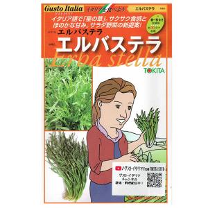 野菜のタネ　エルバステラ　イタリアの珍しい種をでお届け!!　トキタ種苗