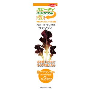家庭菜園初心者に 育てやすい野菜の人気おすすめランキング選 プランター ベランダで野菜を育てよう セレクト Gooランキング
