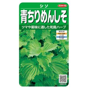 野菜の種　実咲野菜3075 青ちりめんしそ　サカタのタネ　