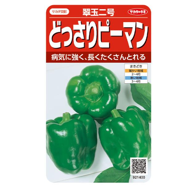 野菜の種　実咲野菜1400 どっさりピーマン　翠玉二号