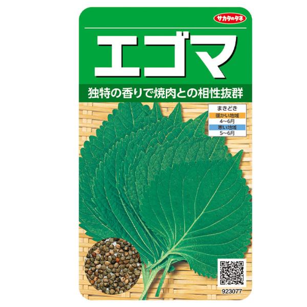 野菜の種　実咲野菜3077 エゴマ