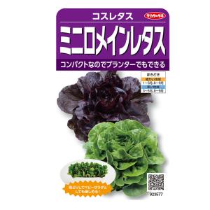 野菜の種　実咲野菜3577 レタス　ミニロメインレタスミックス