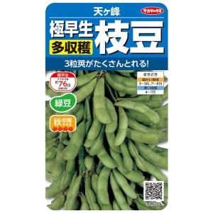 野菜の種　実咲野菜7373 極早生多収穫枝豆　天ヶ峰
