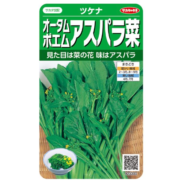 野菜の種　実咲野菜3300 　アスパラ菜