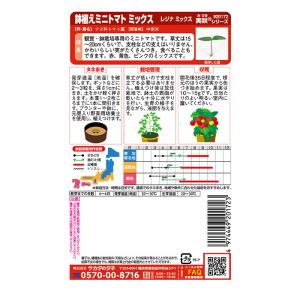 野菜の種 実咲野菜920172 鉢植えミニトマ...の詳細画像1