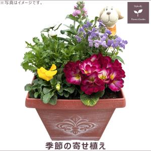 ジブリ グッズ となりのトトロ プランターカバー スイカ畑から