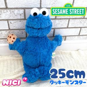 UNIQLO x KAWS Sesame Street ユニクロカウズ セサミストリート