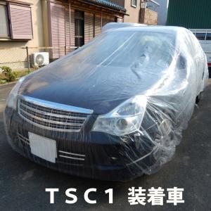 アラデン 自動車用ボディーカバー LSボディーカバー 非防炎 LSB-C 軽
