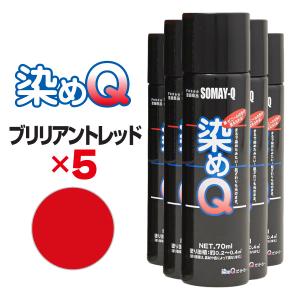 染めQ ５本セット 染めQ エアゾール 70ml ブラック 【5本セット】 速乾 密着 色変え