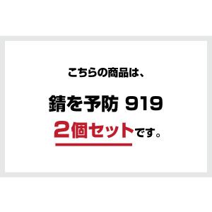 染めQ 錆を予防919 420ml【2本セット...の詳細画像1