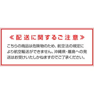 染めQ 錆を予防919 420ml【2本セット...の詳細画像4