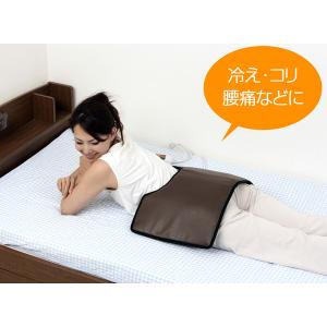 ダイエットサプリ インナーリセット30包 : meguriオンラインショップ