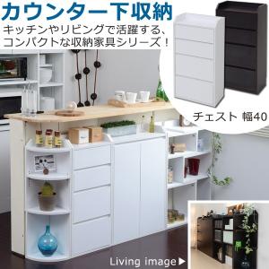 カウンター下収納 扉 幅60／キッチン収納 リビング 壁面収納 薄型