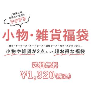 訳あり福袋 小物 雑貨 2点セット セール わ...の詳細画像1