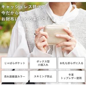 ミニ財布 お札折らない ミニウォレット 財布 ...の詳細画像3