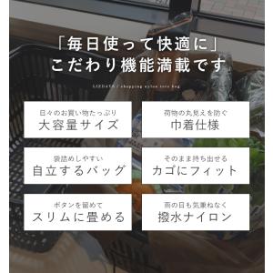 エコバッグ レジバッグ レジカゴ用バッグ 保冷...の詳細画像1