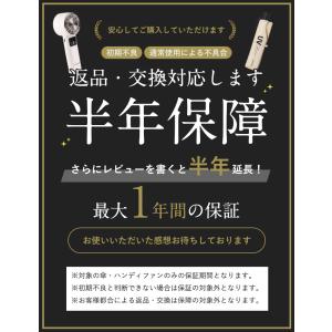 LIZDAYS 2026 ハンディファン 10...の詳細画像1