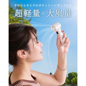 LIZDAYS 2026 ハンディファン 10...の詳細画像3