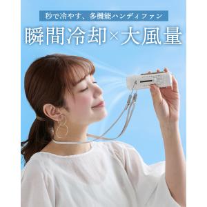 LIZDAYS ハンディファン 2026 4w...の詳細画像3