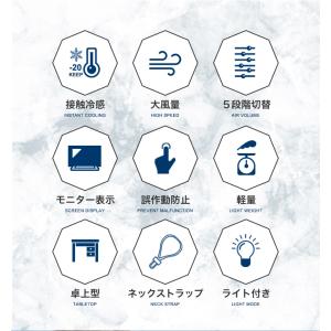LIZDAYS ハンディファン 2026 4w...の詳細画像4