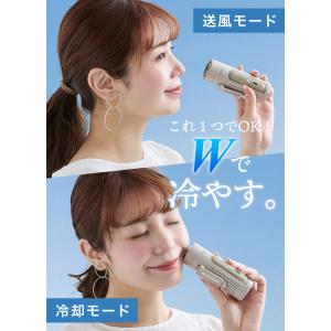 LIZDAYS ハンディファン 2026 4w...の詳細画像5