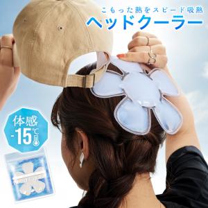 【2点で15%offクーポン】帽子 保冷剤 ヘッドクーラー 帽子用 アイスパック アイシング 暑さ対策 グッズ 熱中症対策 頭 冷却 ひんやり 冷たい 大人 子供 キッズ