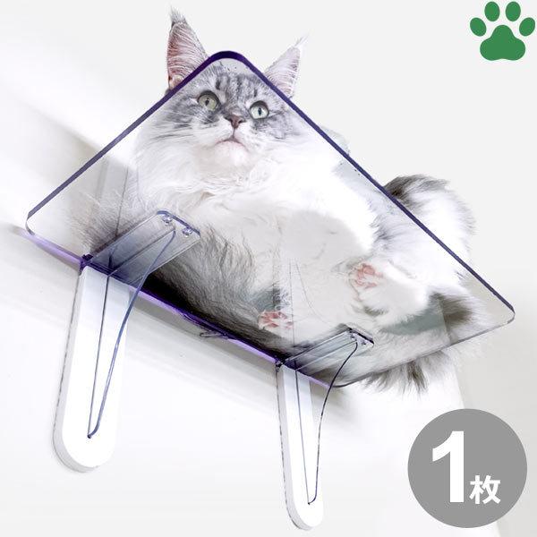 タカラ産業　キャットステップ　壁面取付　猫用　ステップ　壁　クリア　透明　ホワイト　白　可愛い　オシ...