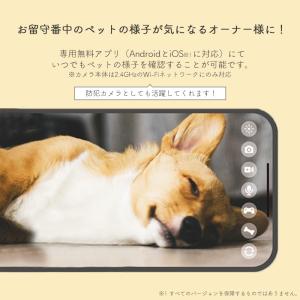 anpet わんにゃん見守り隊 ペットカメラ ...の詳細画像4