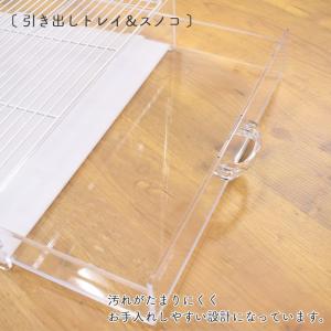 GEX アクリルルーム III 390High...の詳細画像5