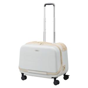 GEX OSOTO キャリー M 箱付き Amazon | GEX ジェックス OSOTOキャリー ローラーII M グレー 軽量