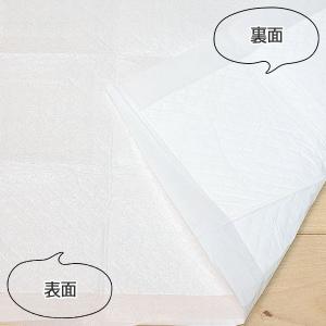 超薄型 ペットシーツ ワイド 600枚 (15...の詳細画像5