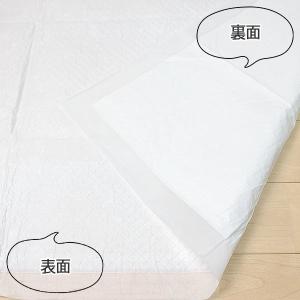 超薄型 ペットシーツ スーパーワイド 300枚...の詳細画像5