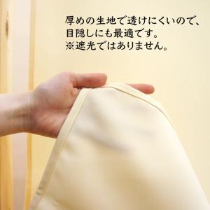 のれん 暖簾 間仕切り 目隠し 消防 防災 防...の詳細画像5