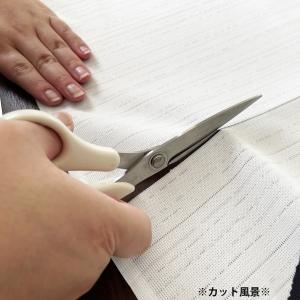 のれん 暖簾 目隠し 間仕切り ディズニー D...の詳細画像4